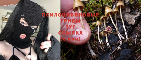 крисы Алексеевка