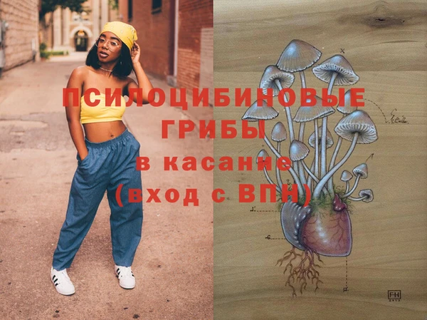 крисы Алексеевка