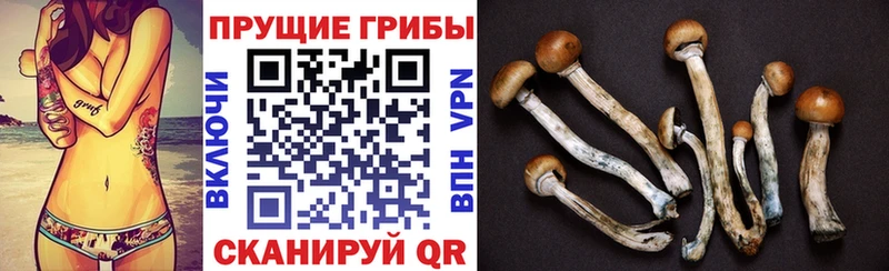 Псилоцибиновые грибы прущие грибы Биробиджан