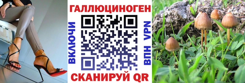 Псилоцибиновые грибы GOLDEN TEACHER цена Биробиджан
