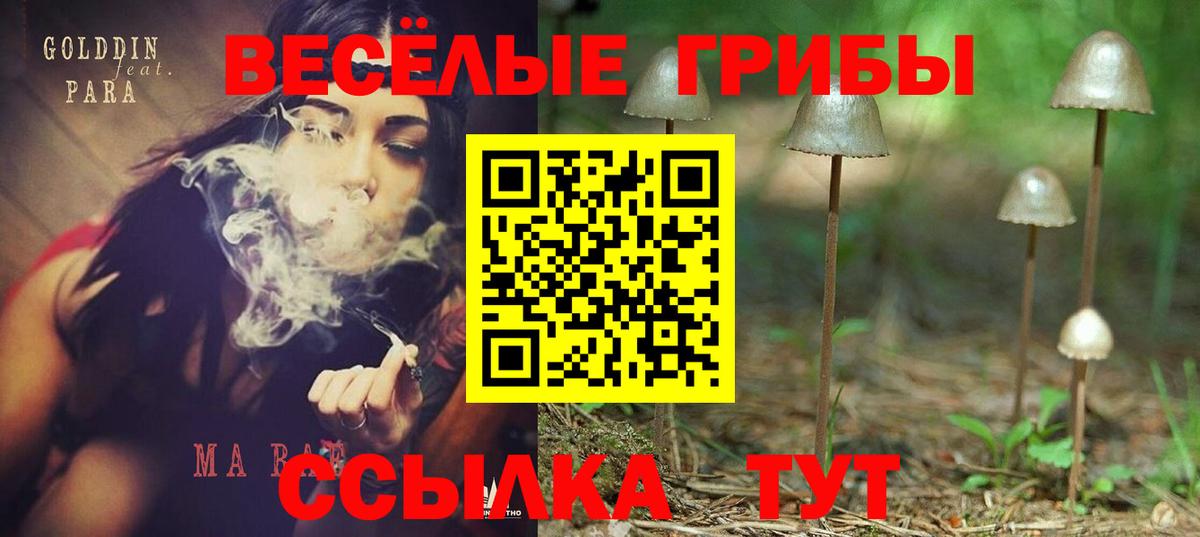 Псилоцибиновые грибы мухоморы  Вход с VPN  где можно купить   Биробиджан 